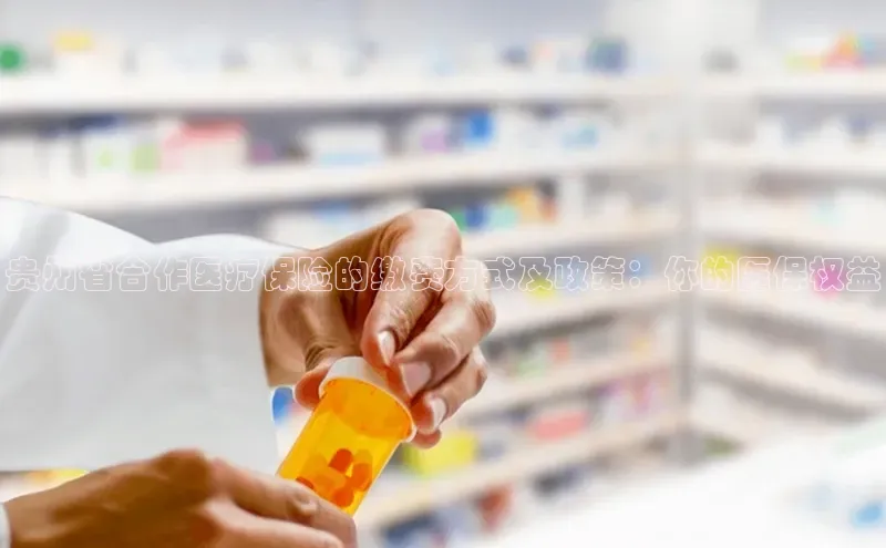 杏宇手游官网入口最新版本更新内容